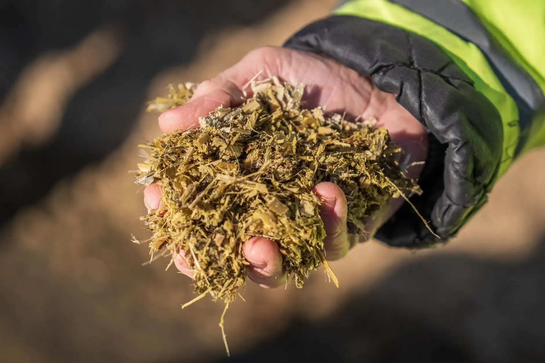 企业管理咨询服务对比:宜宾悦慧如何为创业团队定制合规方案
